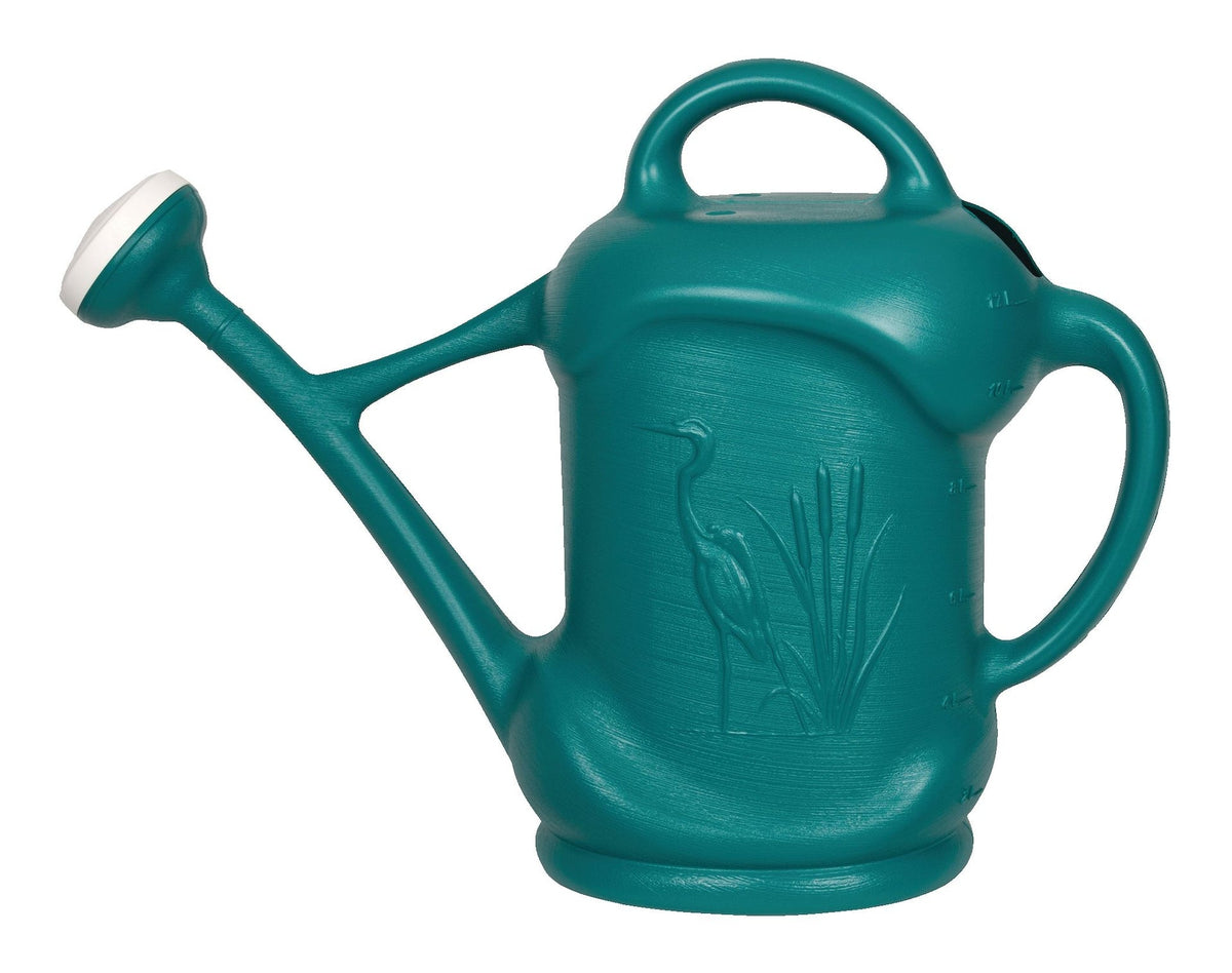 DCN Lightweight Plastic Watering Can, 11.3-L, Blue