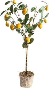 Fake Bonsai Tree The Artificial Plant Small Potted Plant Decorates The Artificial Flower Lemon Tree, 37 Inches High, It is A Good Choice Both Indoors and Outdoors. Artificial Bonsai Tree