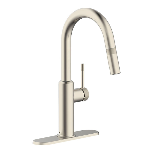Danze Colby 1-Handle Pull-Down Kitchen Faucet with Knurled Accents, Stainless Steel R9