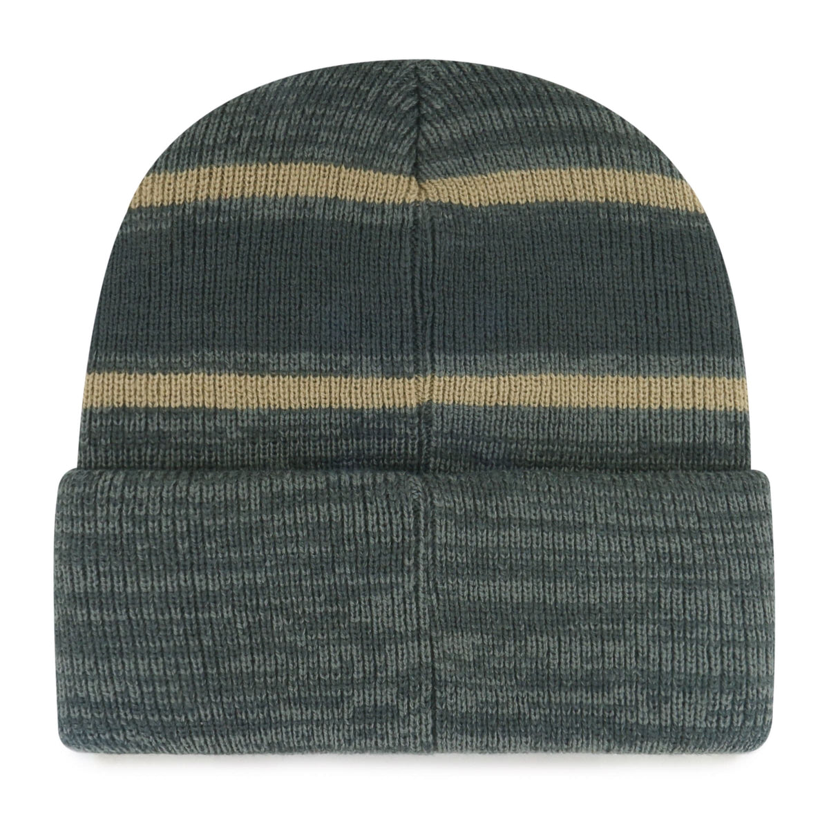Fan Favorite NBA Toronto Raptors Mass Level Knit Toque