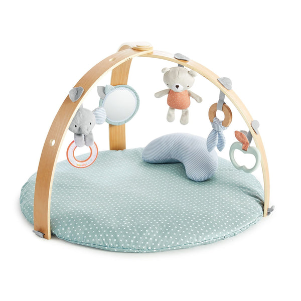Ingenuity Cozy Spot Reversible Duvet Gym A1