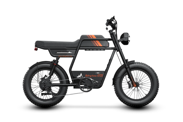 GT33 All-Terrain Cafe Racer Cargo Electric Bike P7