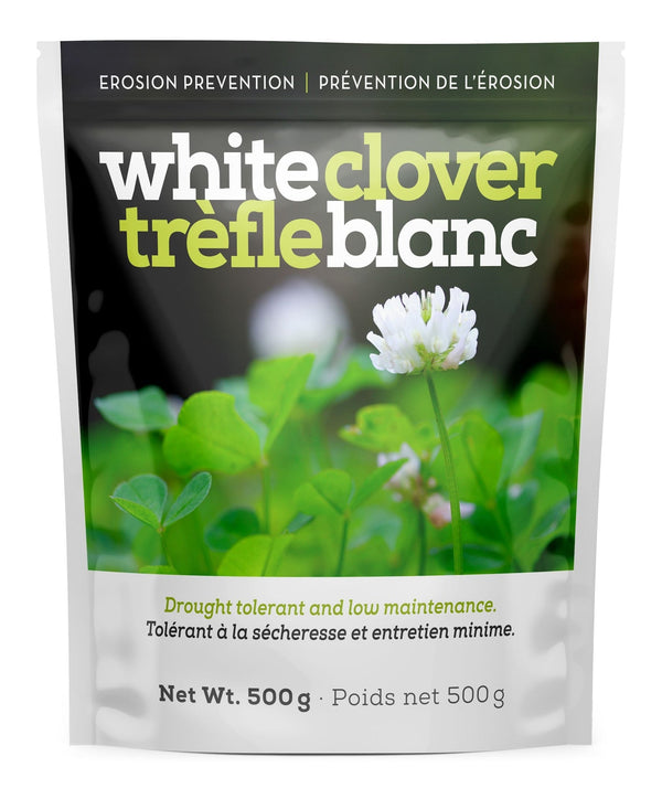 White Clover Erosion Control Grass Seed 500g Q6